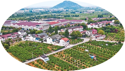 
北京中医院黄牛代挂号电话票贩子号贩子网上预约挂号,住院检查加快,为让消费者品尝那一口“鲜”