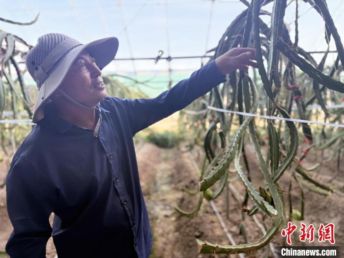 
北京宣武医院黄牛代挂号电话票贩子号贩子网上预约挂号,住院检查加快,（乡村行·看振兴）内蒙古东北乡村激活“花样经济”