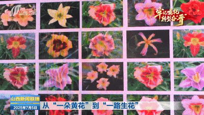
北京大学肿瘤医院黄牛代挂号电话票贩子号贩子网上预约挂号,住院检查加快,牢记嘱托 转型奋“晋”｜从“一朵黄花”到“一路生花”
