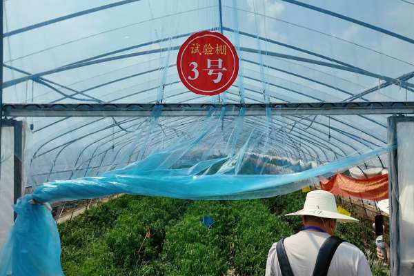 
上海各大医院黄牛代挂号电话票贩子号贩子网上预约挂号,住院检查加快,活力中国调研行｜江西高安：这一口辣是乡村产业振兴的幸福滋味
