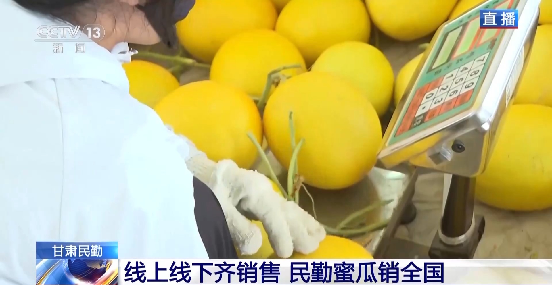 
南京儿童医院黄牛代挂号电话票贩子号贩子网上预约挂号,住院检查加快,一颗瓜带火一条产业链 甘肃民勤的蜜瓜还有这些新吃法