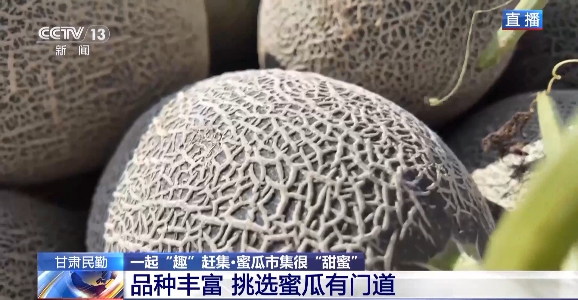 
南京儿童医院黄牛代挂号电话票贩子号贩子网上预约挂号,住院检查加快,一颗瓜带火一条产业链 甘肃民勤的蜜瓜还有这些新吃法