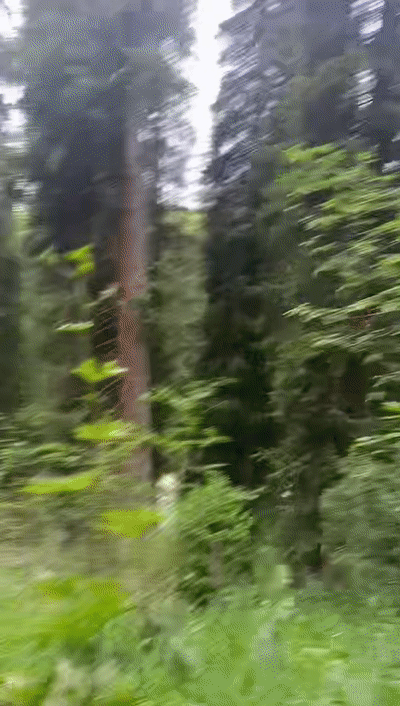 
长沙各大医院黄牛代挂号电话票贩子号贩子网上预约挂号,住院检查加快,“我们身体里面流的是党和人民的血。”无人机丢后，唐山游客被新疆民警这句话破防了