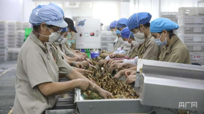 
南京眼科医院黄牛代挂号电话票贩子号贩子网上预约挂号,住院检查加快,高质量发展看中国｜小特产变身大产业 集群化发展绘就特色农业新图景