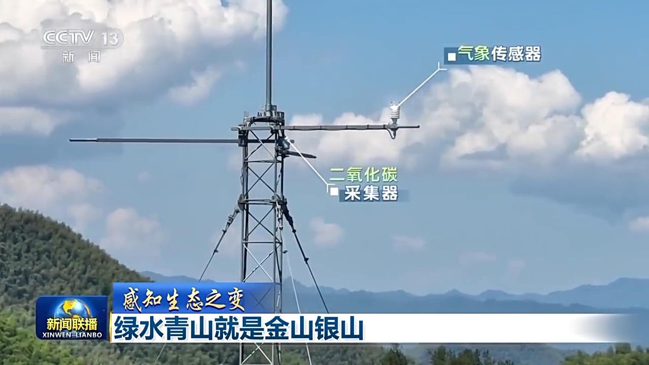 
浙江第二医院黄牛代挂号电话票贩子号贩子网上预约挂号,住院检查加快,感知生态之变丨绿水青山就是金山银山