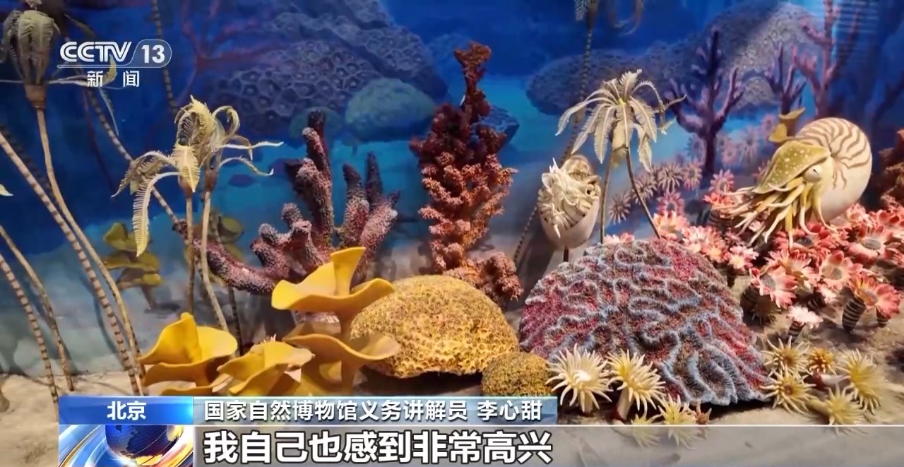
北京空军总医院黄牛代挂号电话票贩子号贩子网上预约挂号,住院检查加快,逛博物馆、探索自然……北京夏日奇妙夜 开启夜游新场景