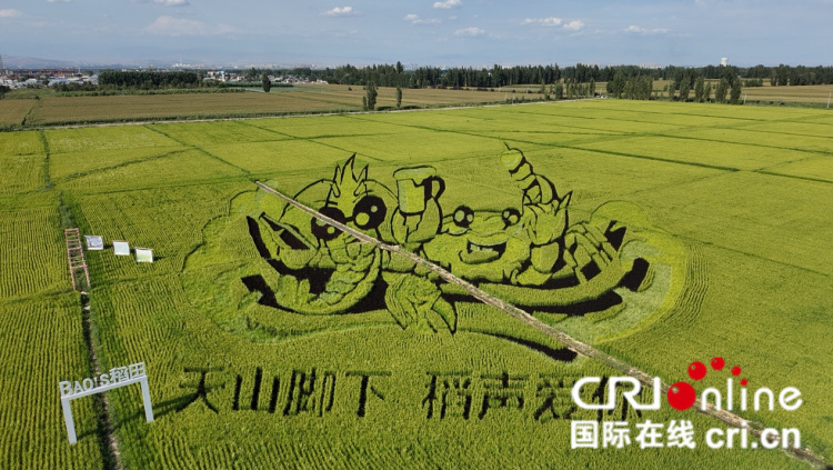 
中山大学孙逸仙纪念医院黄牛代挂号电话票贩子号贩子网上预约挂号,住院检查加快,治水兴水看新疆丨稻田上绘就乡村振兴新画卷