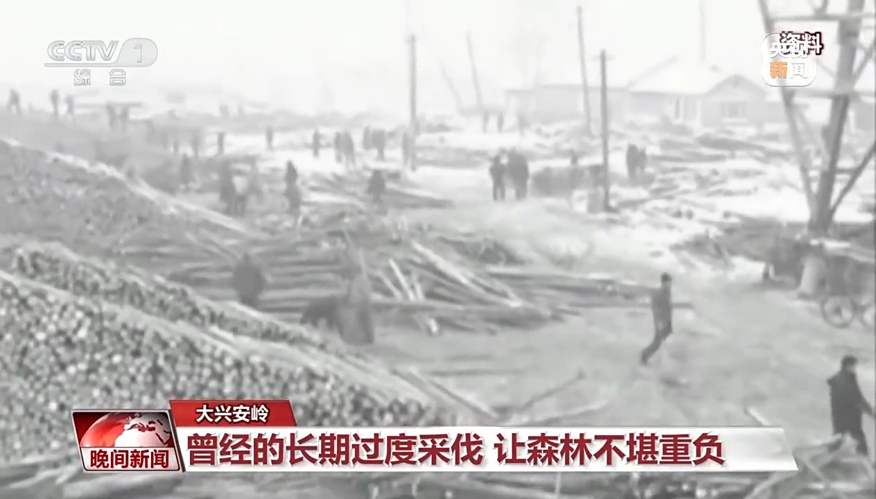 
上海儿童医院黄牛代挂号电话票贩子号贩子网上预约挂号,住院检查加快,看见美丽中国丨停伐十年 看“绿色宝库”大兴安岭的转型路→