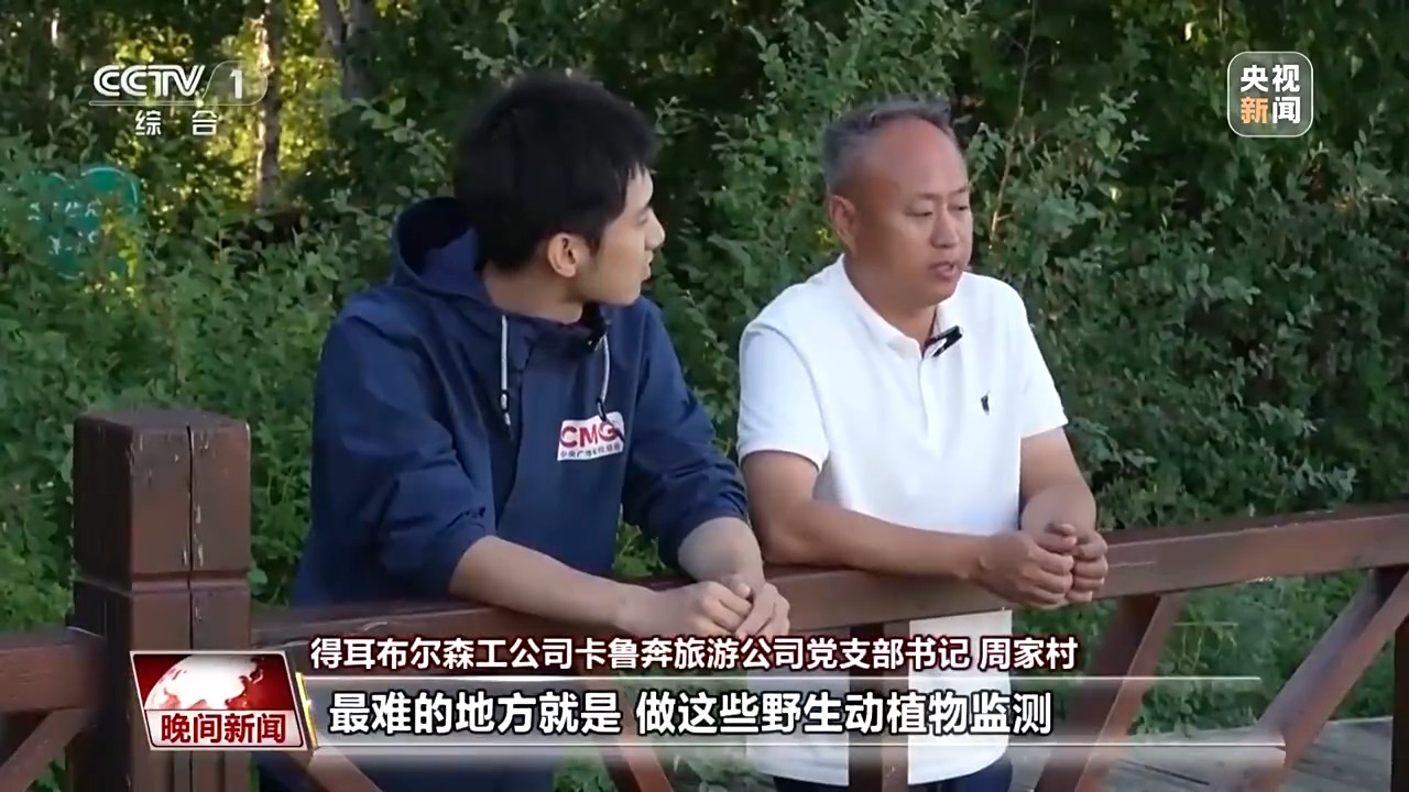 
上海儿童医院黄牛代挂号电话票贩子号贩子网上预约挂号,住院检查加快,看见美丽中国丨停伐十年 看“绿色宝库”大兴安岭的转型路→