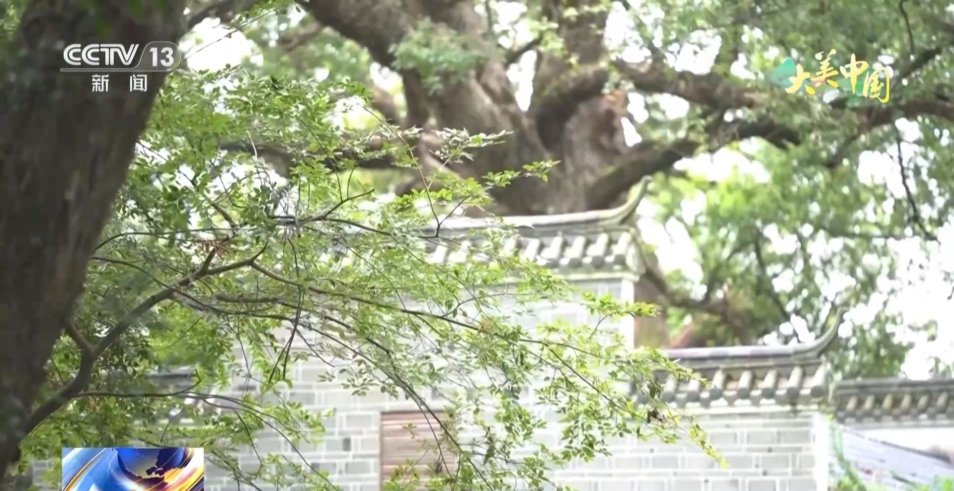 
浙江口腔医院黄牛代挂号电话票贩子号贩子网上预约挂号,住院检查加快,各地生态旅游引热潮 沉浸式感受自然之美
