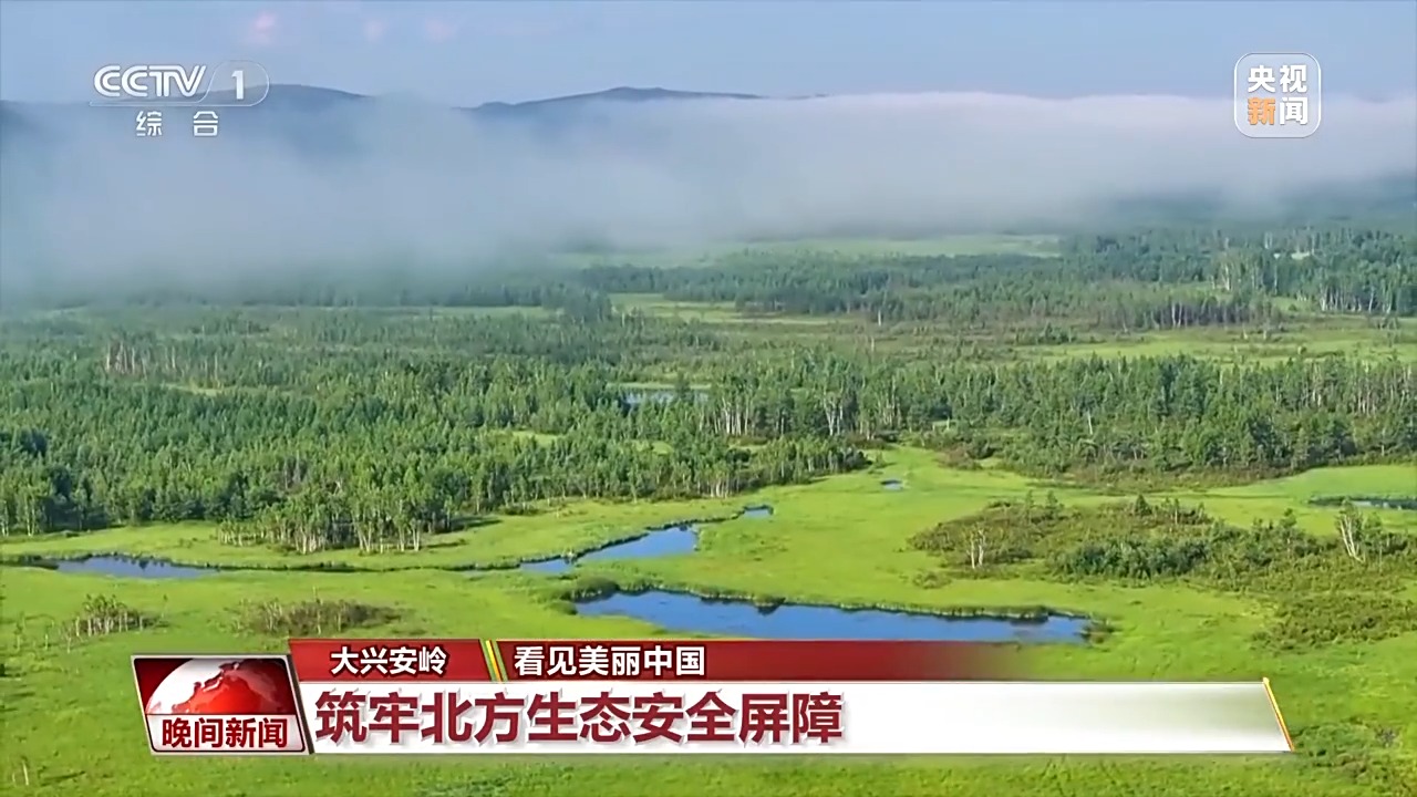 
上海儿童医院黄牛代挂号电话票贩子号贩子网上预约挂号,住院检查加快,看见美丽中国丨停伐十年 看“绿色宝库”大兴安岭的转型路→