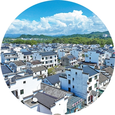 
北京301医院黄牛代挂号电话票贩子号贩子网上预约挂号,住院检查加快,石门村村民因护鸟而增收（家乡的山水能生金）