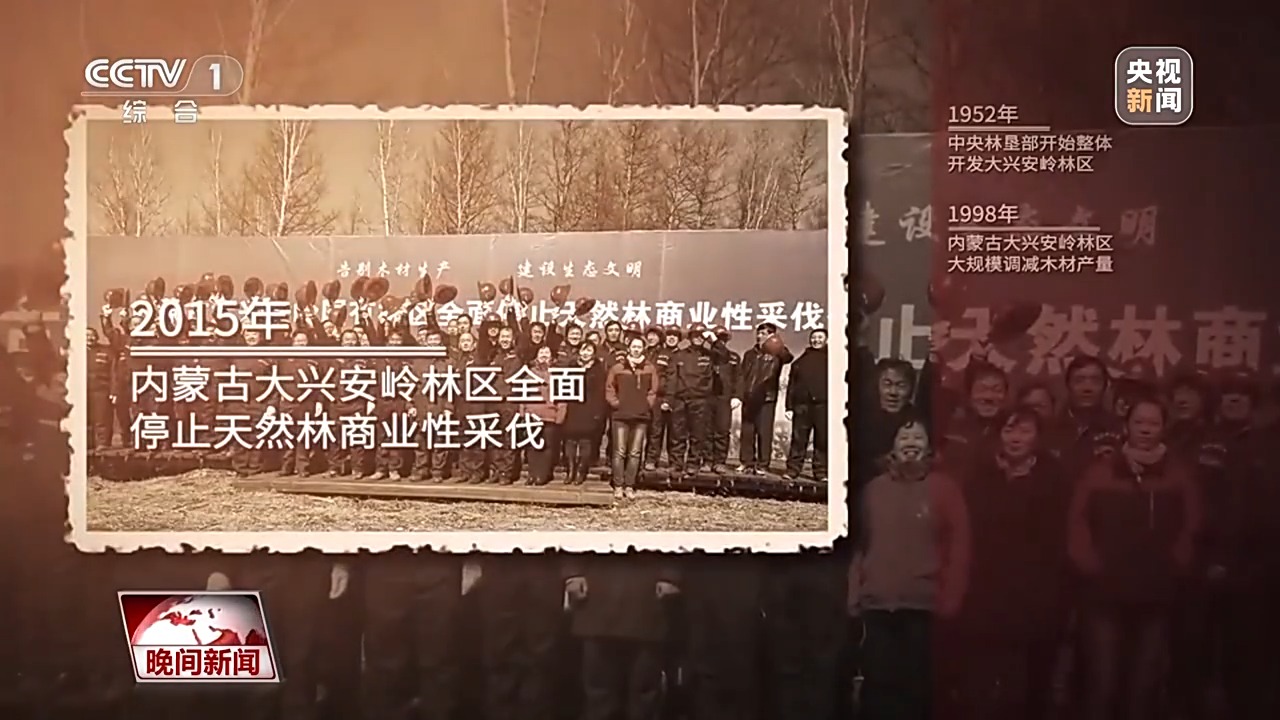 
上海儿童医院黄牛代挂号电话票贩子号贩子网上预约挂号,住院检查加快,看见美丽中国丨停伐十年 看“绿色宝库”大兴安岭的转型路→