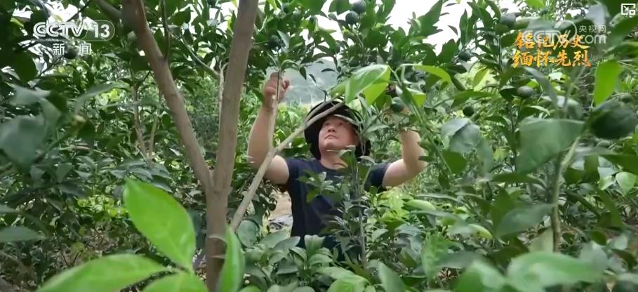 
南京金陵医院黄牛代挂号电话票贩子号贩子网上预约挂号,住院检查加快,抗日根据地·今昔巨变丨革命老区产业兴旺焕新生 民生不断改善