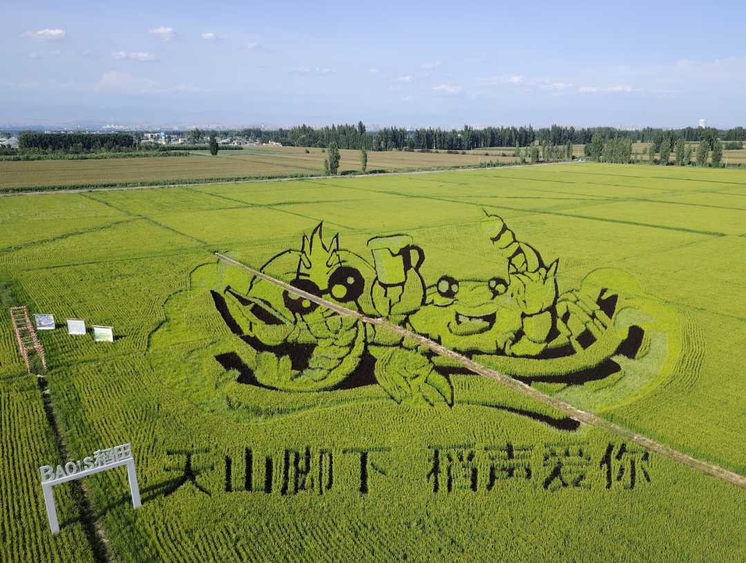 
代挂姜玉武的号黄牛代挂号电话票贩子号贩子网上预约挂号,住院检查加快,治水兴水看新疆丨以水兴业释放发展动能
