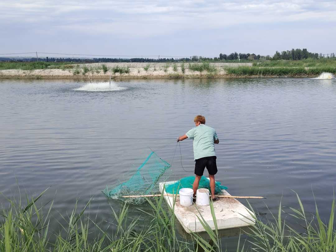 
代挂姜玉武的号黄牛代挂号电话票贩子号贩子网上预约挂号,住院检查加快,治水兴水看新疆丨以水兴业释放发展动能