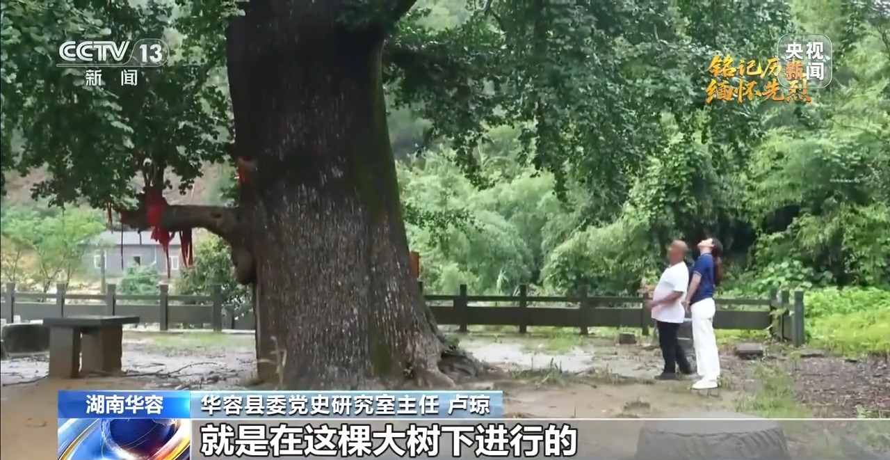 
广州中医院黄牛代挂号电话票贩子号贩子网上预约挂号,住院检查加快,山乡巨变、产业红火 昔日敌后根据地焕发新生