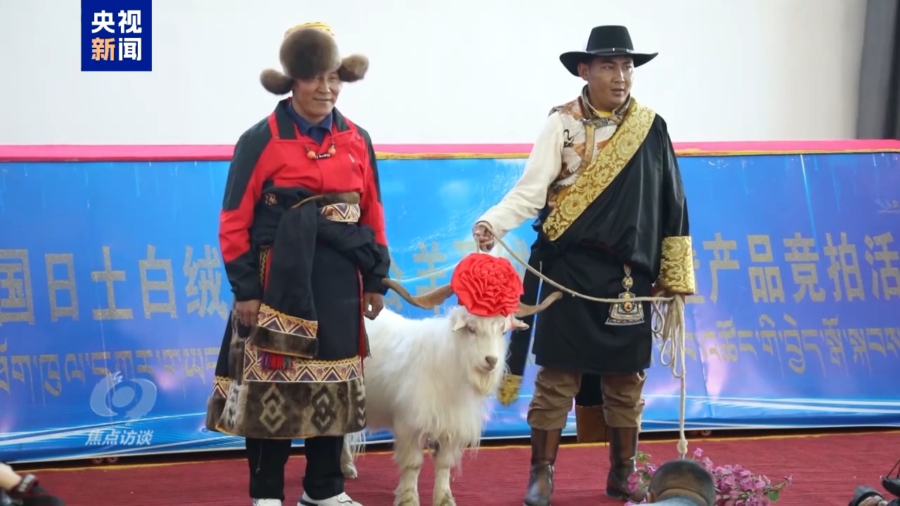 
广州儿童医院黄牛代挂号电话票贩子号贩子网上预约挂号,住院检查加快,焦点访谈丨白羊绒走出去 新游客走进来 援藏硕果满高原