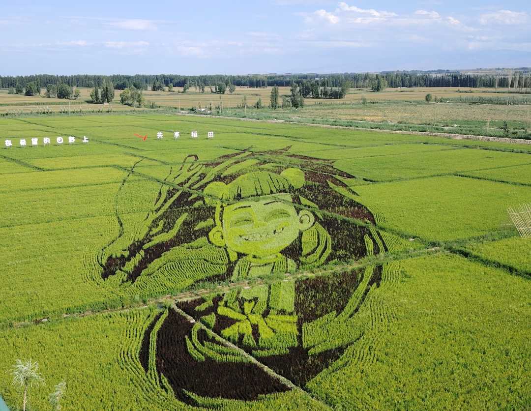 
代挂姜玉武的号黄牛代挂号电话票贩子号贩子网上预约挂号,住院检查加快,治水兴水看新疆丨以水兴业释放发展动能