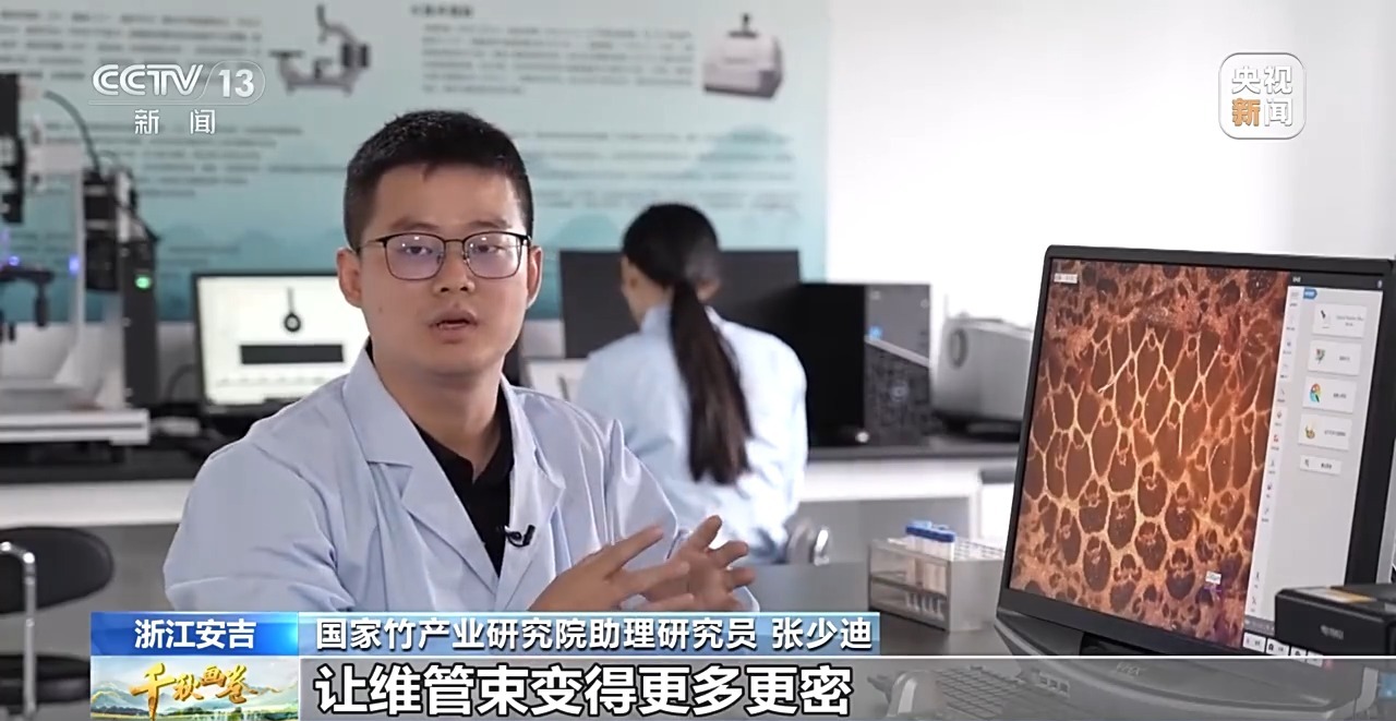 
中国中医科学院西苑黄牛代挂号电话票贩子号贩子网上预约挂号,住院检查加快,“两山”理念提出二十周年：绿水青山千秋画 万里江山共此卷