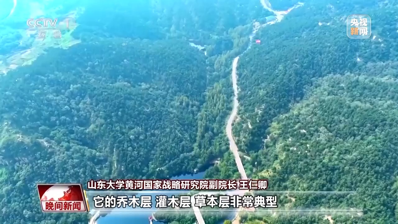 
中国人民解放军总医院黄牛代挂号电话票贩子号贩子网上预约挂号,住院检查加快,看见美丽中国丨炸水泥厂、种万棵树！“石头村”20年逆袭97%森林覆盖