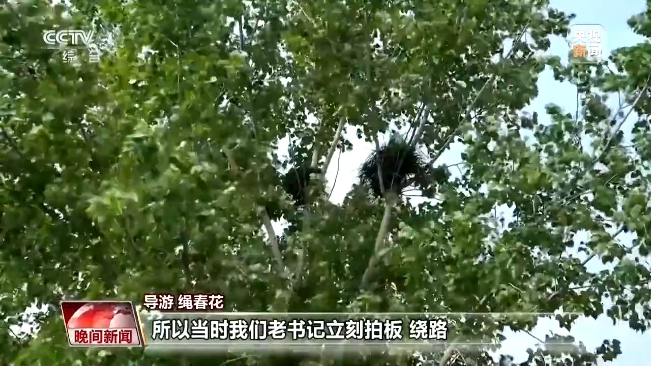 
中国人民解放军总医院黄牛代挂号电话票贩子号贩子网上预约挂号,住院检查加快,看见美丽中国丨炸水泥厂、种万棵树！“石头村”20年逆袭97%森林覆盖