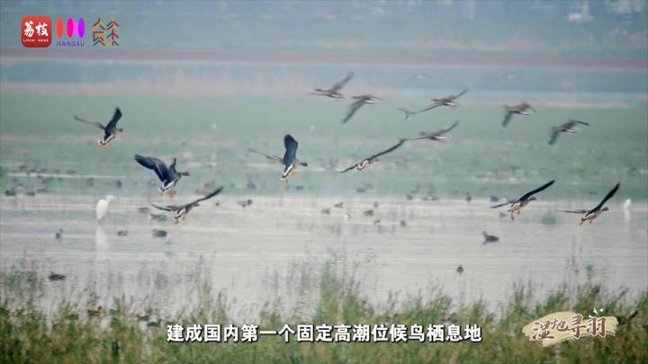 
北京大学第三医院黄牛代挂号电话票贩子号贩子网上预约挂号,住院检查加快,“县”在起笔 青绿绘江山 | 翩翩“湿”意，守住飞鸟的远方