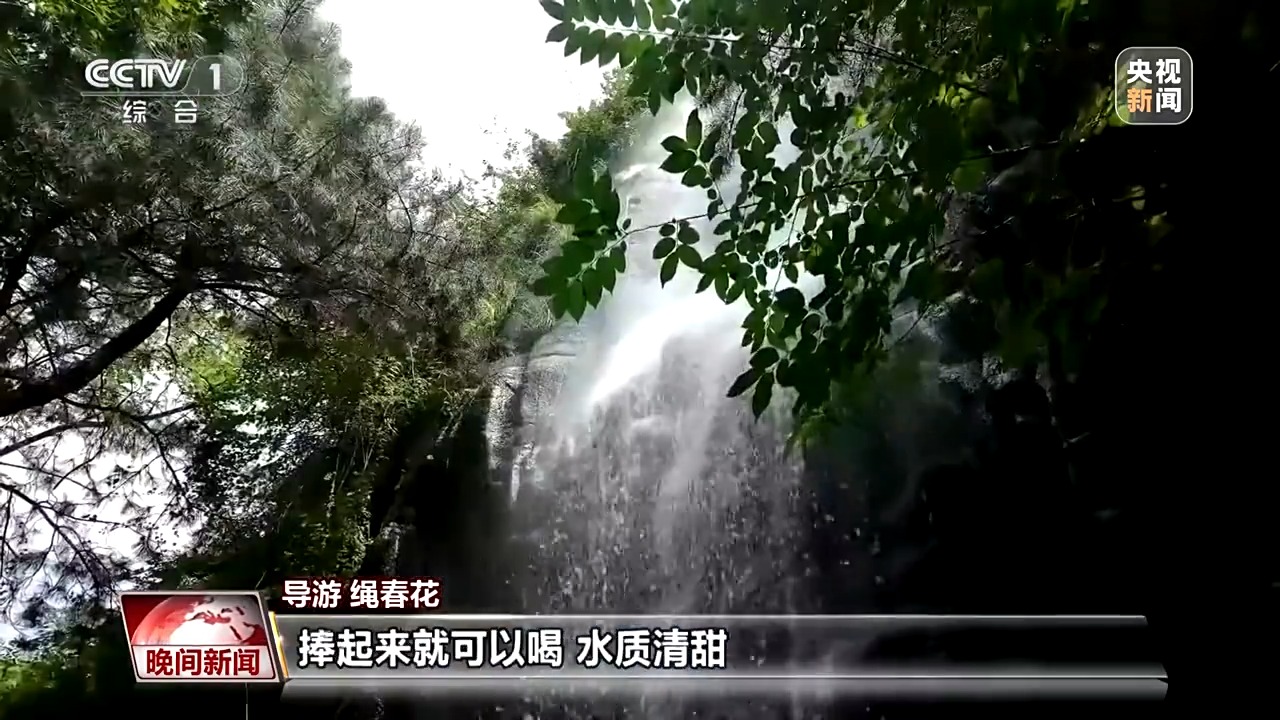 
中国人民解放军总医院黄牛代挂号电话票贩子号贩子网上预约挂号,住院检查加快,看见美丽中国丨炸水泥厂、种万棵树！“石头村”20年逆袭97%森林覆盖