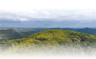 
江苏省人民医院黄牛代挂号电话票贩子号贩子网上预约挂号,住院检查加快,漫山遍野的绿，就是聚宝盆（家乡的山水能生金）
