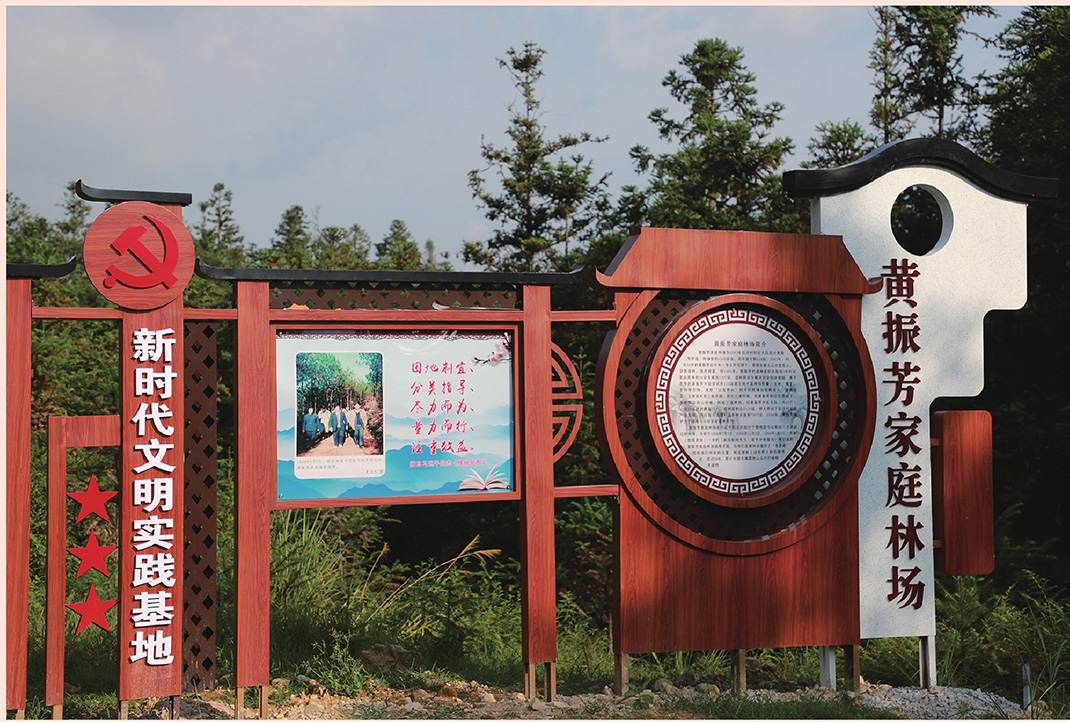 
广州市第一人民医院黄牛代挂号电话票贩子号贩子网上预约挂号,住院检查加快,学习·故事丨青山变“金”山 习近平与三棵杉树的故事