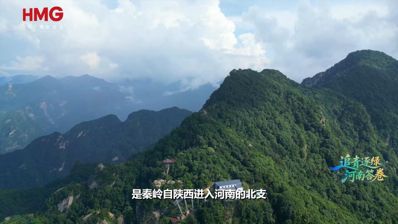 
上海仁济医院黄牛代挂号电话票贩子号贩子网上预约挂号,住院检查加快,这里的“两山”丨从资源山到生态山 风景山