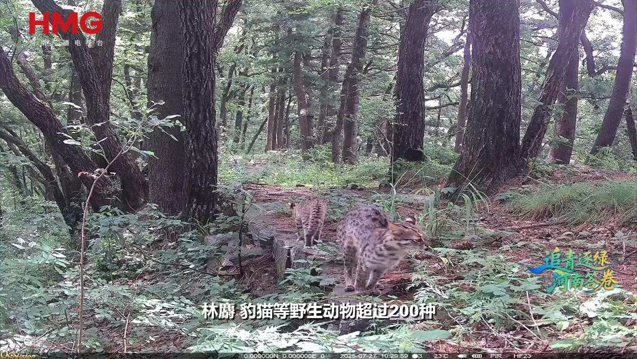 
上海仁济医院黄牛代挂号电话票贩子号贩子网上预约挂号,住院检查加快,这里的“两山”丨从资源山到生态山 风景山