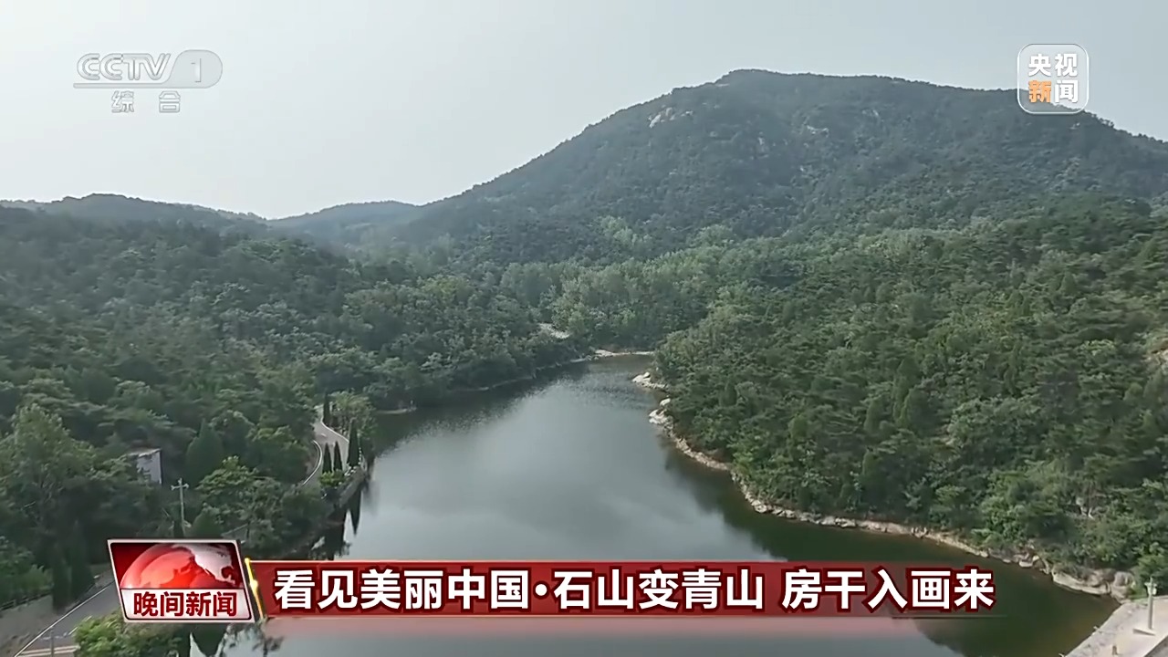 
中国人民解放军总医院黄牛代挂号电话票贩子号贩子网上预约挂号,住院检查加快,看见美丽中国丨炸水泥厂、种万棵树！“石头村”20年逆袭97%森林覆盖