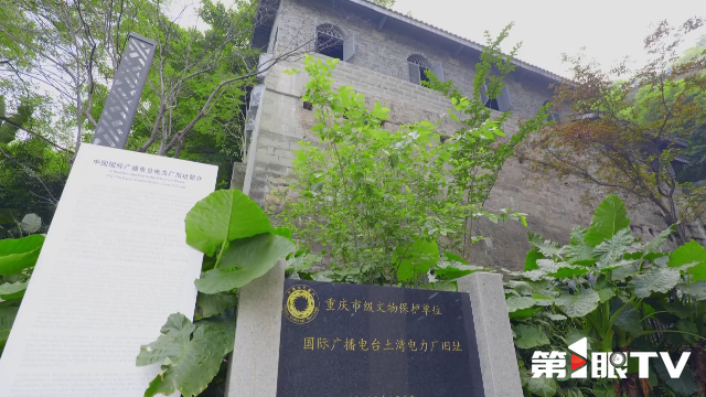 
江苏省肿瘤医院黄牛代挂号电话票贩子号贩子网上预约挂号,住院检查加快,重庆新闻联播丨山河见证——我们的抗战记忆 · 炸不死的“重庆之蛙” 率先向全球发出抗战胜利消息