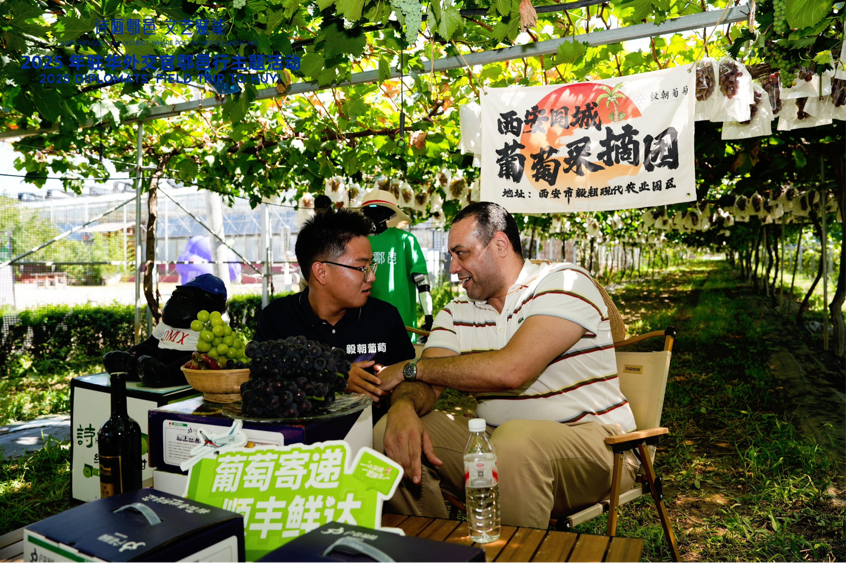 
江苏省人民医院黄牛代挂号电话票贩子号贩子网上预约挂号,住院检查加快,智慧“种”进葡萄园 驻华外交官品读乡村振兴“中国甜”