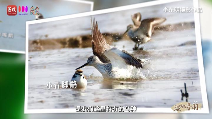 
北京大学第三医院黄牛代挂号电话票贩子号贩子网上预约挂号,住院检查加快,“县”在起笔 青绿绘江山 | 翩翩“湿”意，守住飞鸟的远方