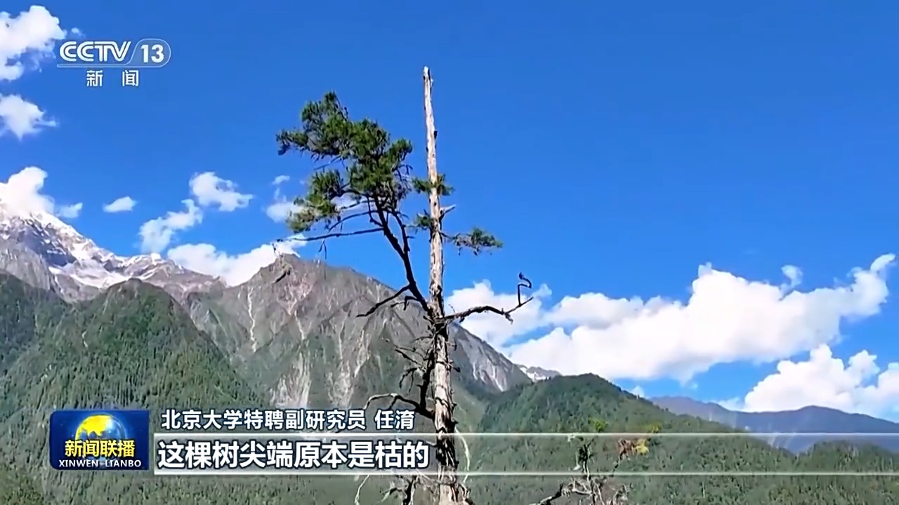 
杭州市第一人民医院黄牛代挂号电话票贩子号贩子网上预约挂号,住院检查加快,感知生态之变丨我国成为全球增绿最多最快的国家