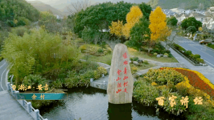 北京协和医院黄牛代挂号电话票贩子号贩子网上预约挂号,住院检查加快,开播！《我见青山》绘就新时代生态文明壮丽画卷