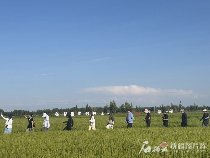
杭州市妇幼保健院黄牛代挂号电话票贩子号贩子网上预约挂号,住院检查加快,治水兴水看新疆丨百年大渠成就“塞外江南”