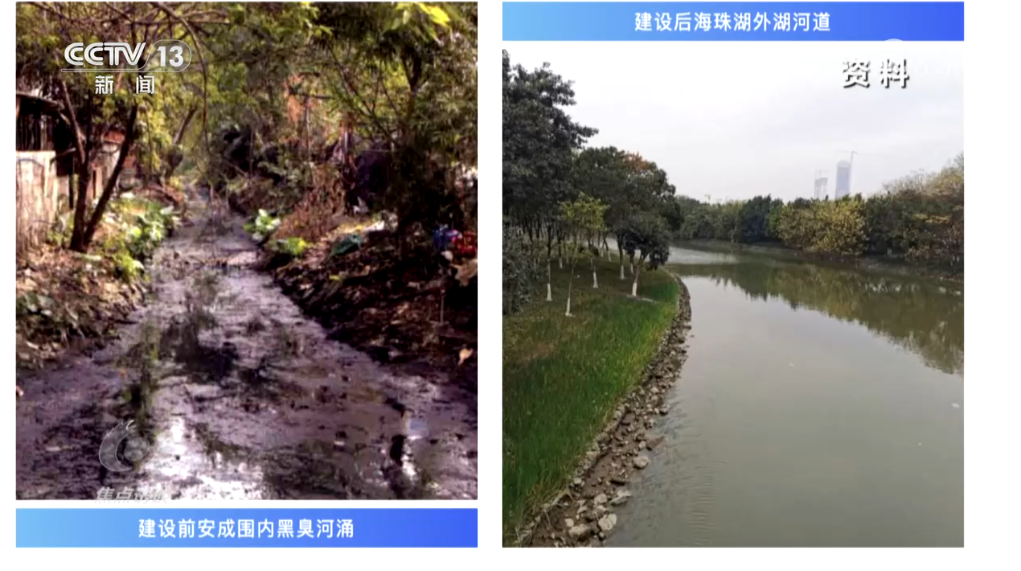 
北京朝阳医院黄牛代挂号电话票贩子号贩子网上预约挂号,住院检查加快,焦点访谈｜书写生态答卷，各地交出亮眼“绿色成绩单”