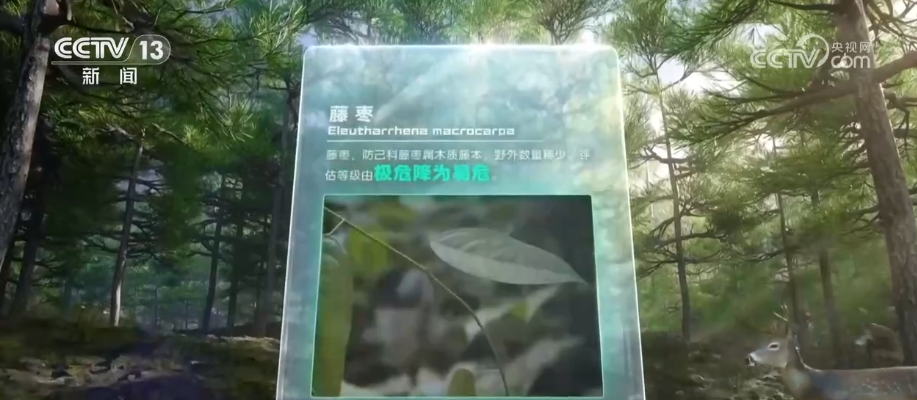 
杭州市儿童医院黄牛代挂号电话票贩子号贩子网上预约挂号,住院检查加快,一“升”一“降”彰显绿色发展内核 绿潮奔涌绘就万物各得其所、生生不息生动画卷