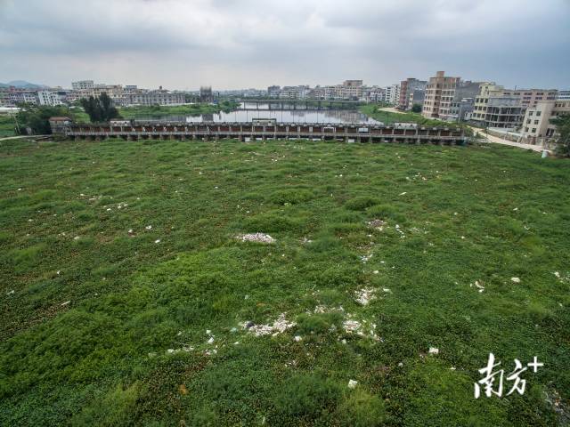 
西安西京医院黄牛代挂号电话票贩子号贩子网上预约挂号,住院检查加快,一条河的浊清十年