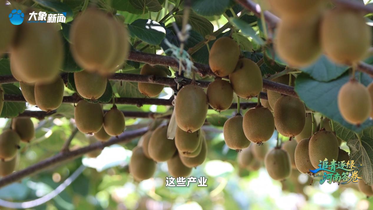 
包含北京大学第一医院黄牛代挂号电话票贩子号贩子网上预约挂号,住院检查加快,这里的“两山”丨清渠北上 碧水富民