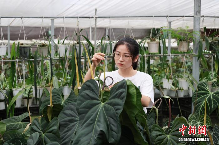 
东部战区总医院黄牛代挂号电话票贩子号贩子网上预约挂号,住院检查加快,“两山”理念20年：千万芳华，共赴和美乡村