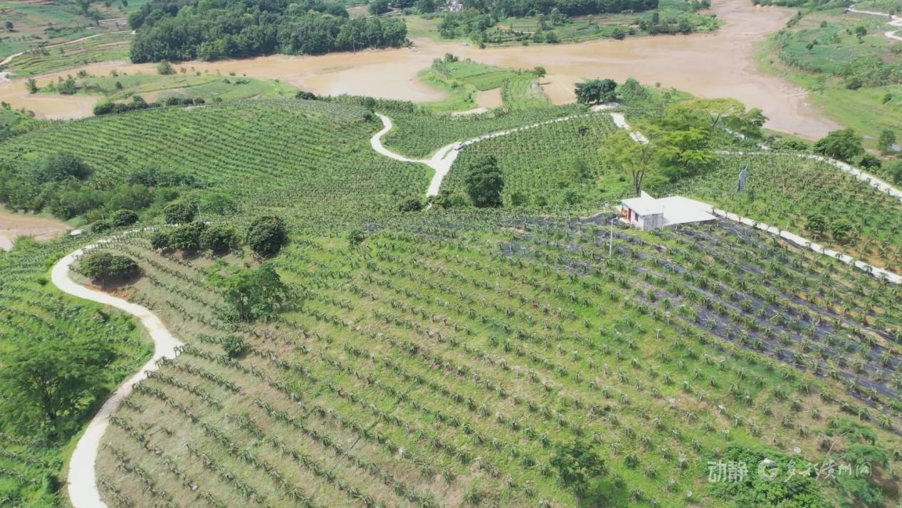 
沈阳医大一院黄牛代挂号电话票贩子号贩子网上预约挂号,住院检查加快,千年生态智慧的贵州实践