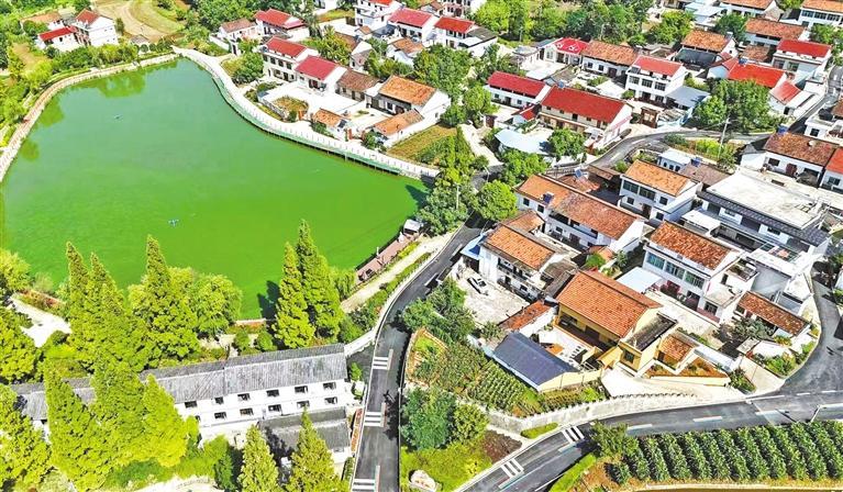 
上海各大医院黄牛代挂号电话票贩子号贩子网上预约挂号,住院检查加快,“好村光”里的振兴“密码”