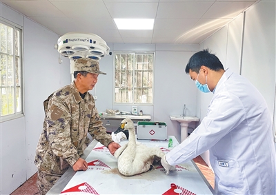 
北医六院黄牛代挂号电话票贩子号贩子网上预约挂号,住院检查加快,“这是一场没有终点的长跑”（守望）