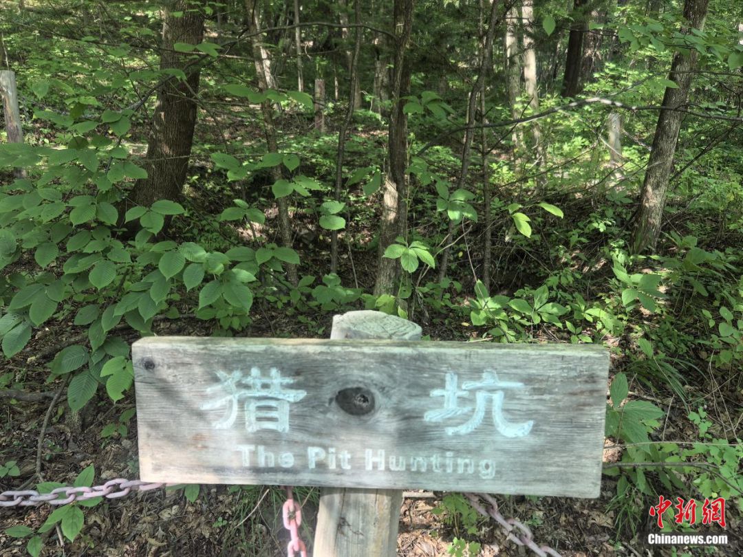 
浙江医院黄牛代挂号电话票贩子号贩子网上预约挂号,住院检查加快,东北抗联战士在“密营”，如何撑过零下40℃的寒冬？