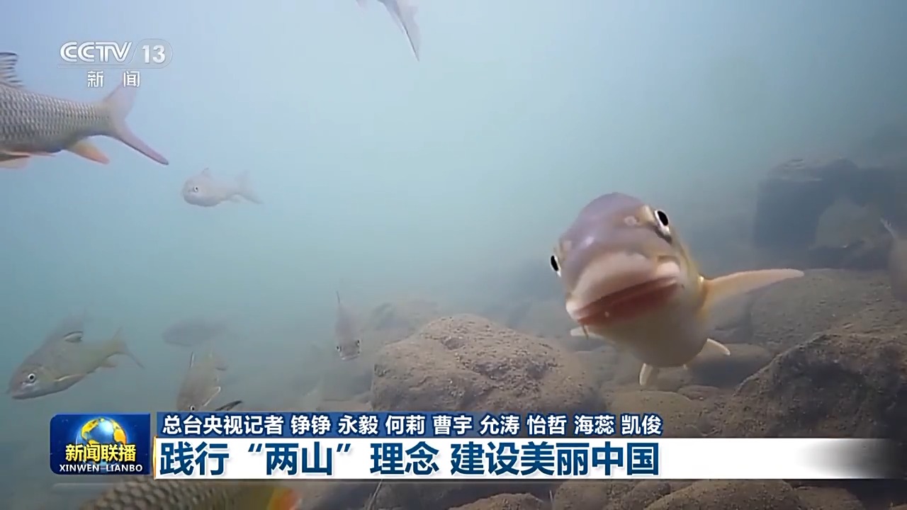 
北京大学第三医院黄牛代挂号电话票贩子号贩子网上预约挂号,住院检查加快,新思想引领新征程丨践行“两山”理念 建设美丽中国