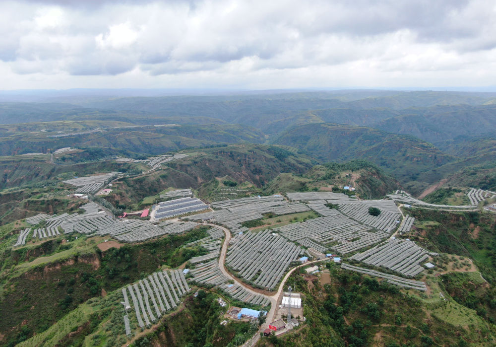 
广州中山一院黄牛代挂号电话票贩子号贩子网上预约挂号,住院检查加快,“两山”理念改变中国引领时代